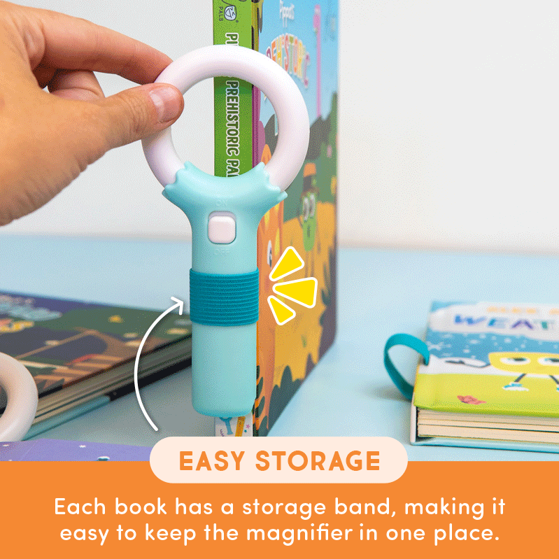 Light-Up Library™ - Princess Ida and her Missing Magic Wand